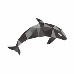 Orca whale