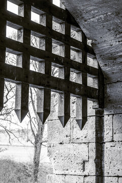 the gate