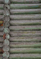 Rustic log texture with peeling paint and weathered surface