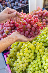 Close-up of a large bunch of pink grapes in a woman's hands at a market. Highlights themes of organic produce, healthy eating, vegan lifestyle, sustainable living, and mindful nutrition choices