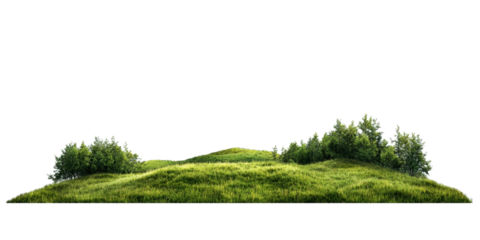Panoramic view of lush green grass forest with trees on a hill on a white background