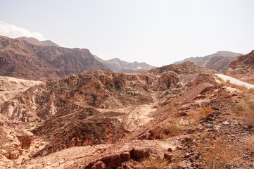 A desert landscape with mountains in the background
