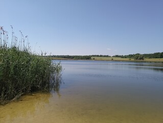 lake in the summer