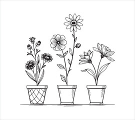 
Set of continuous one line drawing of a flowers in a pots with background