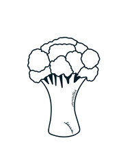 Playful broccoli illustration, vector design