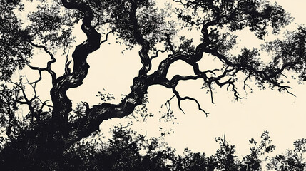 The rare black ironwood to your landscape. Ebonwood. Illustration