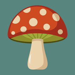 mushrooms on a white background