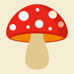 mushrooms on a white background