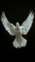 Beautiful White Dove in Flight Showcasing Peace and Grace Against a Dark Background. Generative AI