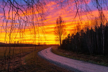 Vibrant sunset over a rural landscape with a gravel road, field and woodland in Estonia, Northern Europe