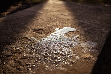 The glow of the December sun reflected in a puddle. 
