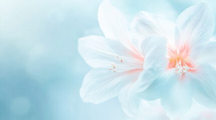Obraz premium Close-up of a delicate flower against a softly blurred background, capturing the essence of nature in a serene and tranquil setting. Perfect for use as a background image