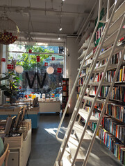 cozy bookstore 