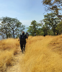 autumn trek among the yellow dried grass