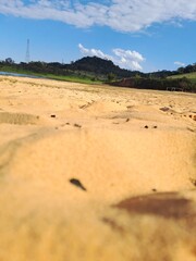 sand dunes in park state