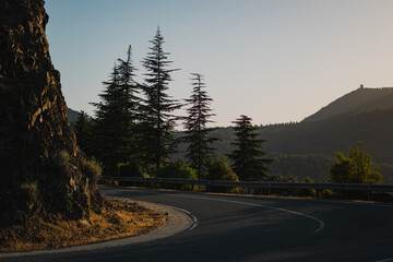 Serene Mountain Road with Pine Trees