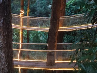 Fototapeta premium suspension bridge with led light