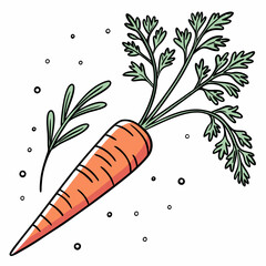 carrots and carrot
