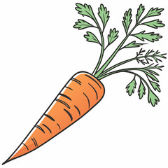 carrot vector design