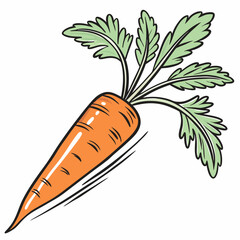 carrot vector design