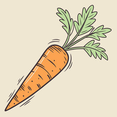 carrot vector design