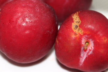 group of red fruits. set of plums. plums with selective focus.
