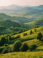 Obraz premium Hazy morning over meadow. Grassy hill and trees in sunlight.