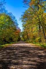 Colorful Wisconsin forest on a gravel road with blue sky in early October