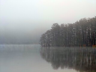 Nebel am Lütauer See bei Mölln