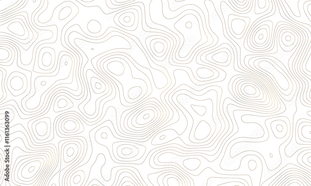 Wall mural topographic map. geographic mountain relief. abstract lines background. contour maps. vector illustr