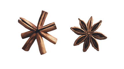 Cinnamon sticks paired with star anise on a clean white background, highlighting their rich, aromatic textures and spices for a warm, inviting feel