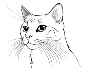 Elegant cat illustration featuring intricate line work depicting a charming feline with striking eyes and detailed whiskers isolated on a white background