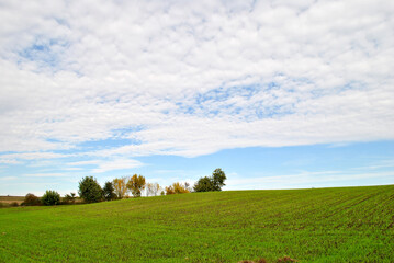 field and blue sky