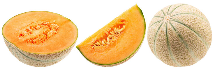 set of melons isolated on a white background