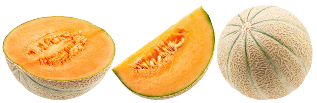 set of melons isolated on a white background