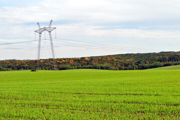 power line in the field