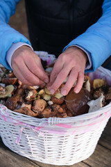 a girl with a basket of mushrooms