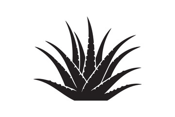 Alovera vector silhouette 