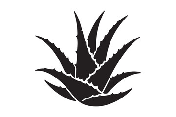 Alovera vector silhouette 