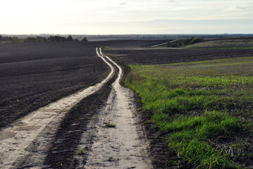 path in the field