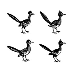 set of roadrunner Bird silhouette, black and white silhouette, vector and illustration