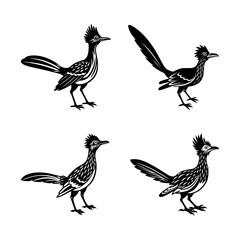 set of roadrunner Bird silhouette, black and white silhouette, vector and illustration