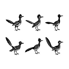 set of roadrunner Bird silhouette, black and white silhouette, vector and illustration