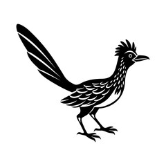 roadrunner Bird silhouette, black and white silhouette, vector and illustration