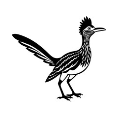 roadrunner Bird silhouette, black and white silhouette, vector and illustration