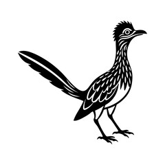 roadrunner Bird silhouette, black and white silhouette, vector and illustration
