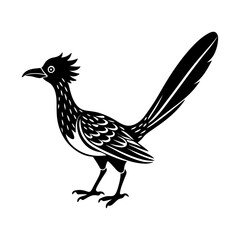 roadrunner Bird silhouette, black and white silhouette, vector and illustration