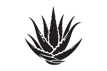 Alovera vector silhouette  49.eps