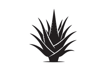 Alovera vector silhouette  53.eps