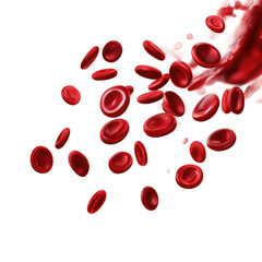 Blood system on a white, isolated transparent background, highlighting biological complexity and life. 